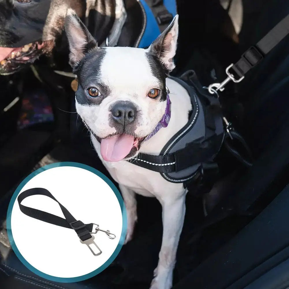 Retractable Car seatbelt For Pets