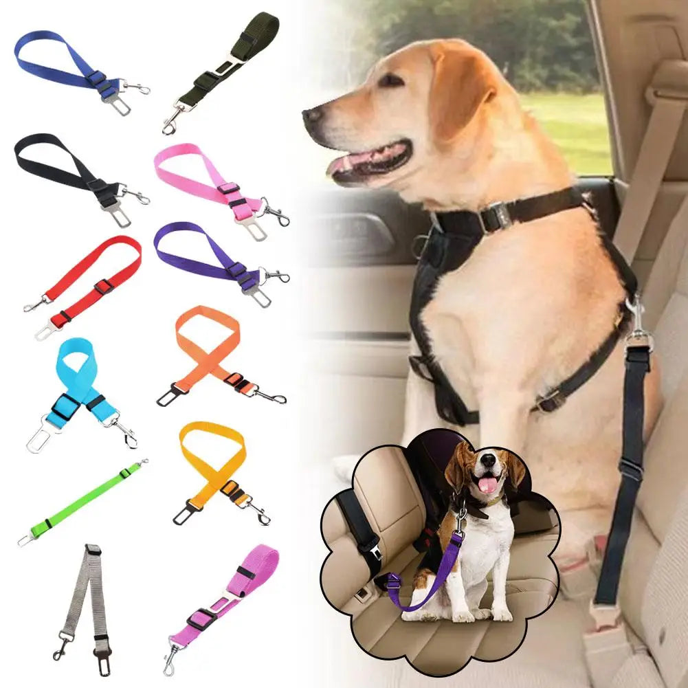 Retractable Car seatbelt For Pets