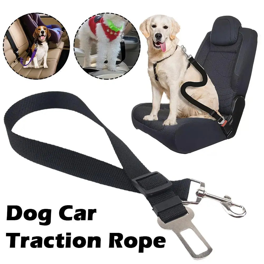 Retractable Car seatbelt For Pets